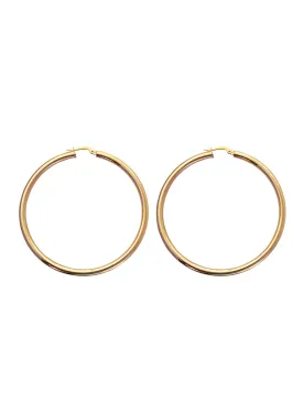 Gold Hoops