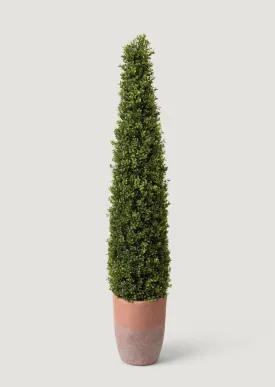 UV Treated Faux Indoor/Covered Outdoor Boxwood Topiary Tree in Terra Cotta Pot - 60"